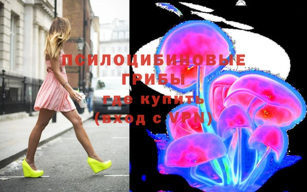 дурь Алексин