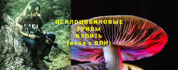 дурь Алексин
