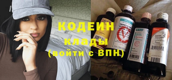 дурь Алексин